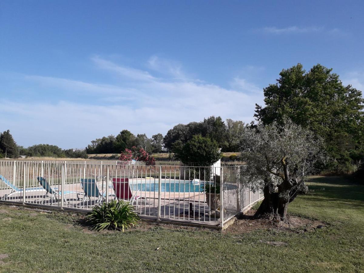 Mas Des Cigales Villa Avignon Bagian luar foto